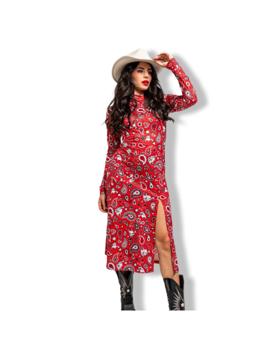VESTIDO PAISLEY ALMA LIBRE LOLINA|LA Oveja Negra Shop.